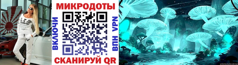 Псилоцибиновые грибы Psilocybe  Клин 